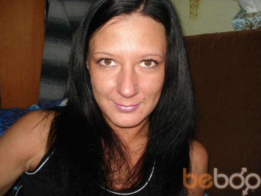  -,   , 41 ,   