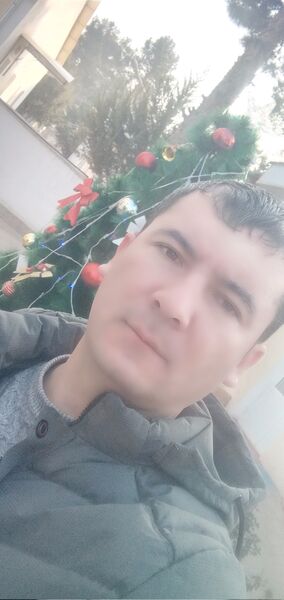  --,   , 36 ,  