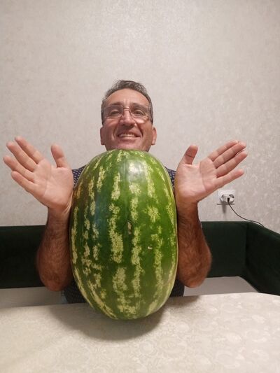  -,   , 55 ,   ,   