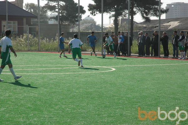 ���������� ����, ���� ������� Enver, 41 ���, ������������ ��� ������, ����� � ���������, c�������� ���������