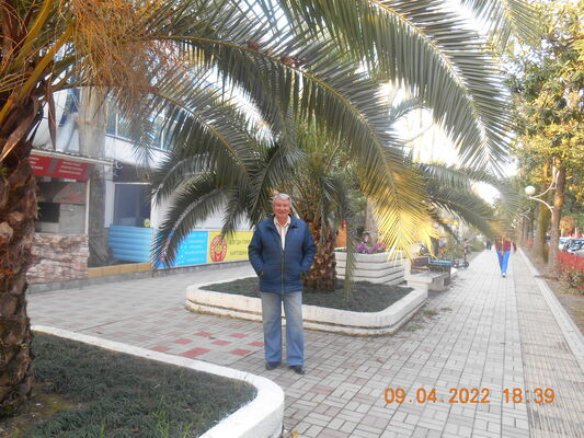  ,   , 77 ,   ,   