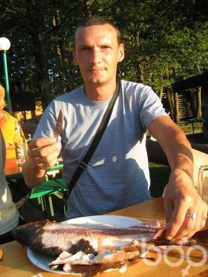  -,   , 52 ,   