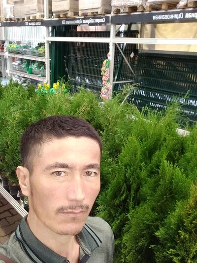  -,   , 37 ,   ,   