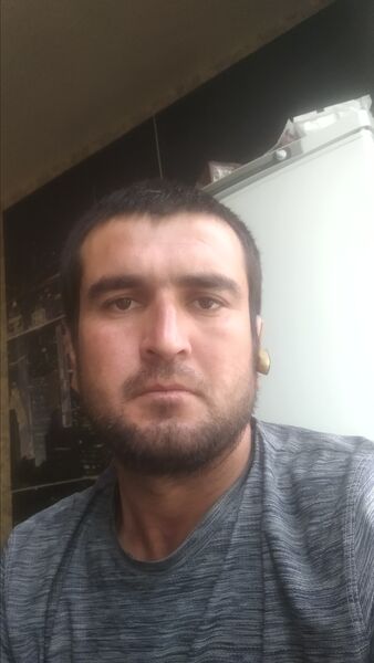   ,   Zohid, 31 ,     , c , 
