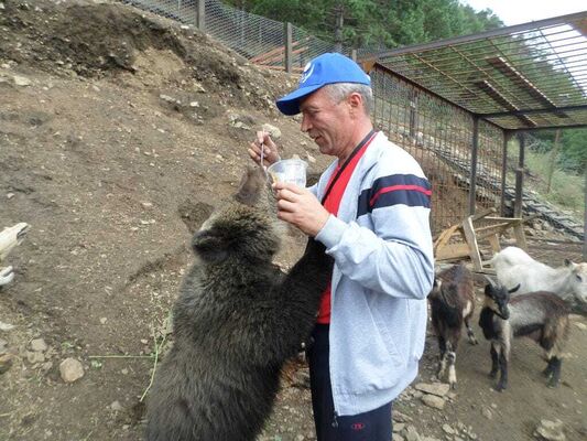  ,   , 57 ,   ,   , c 