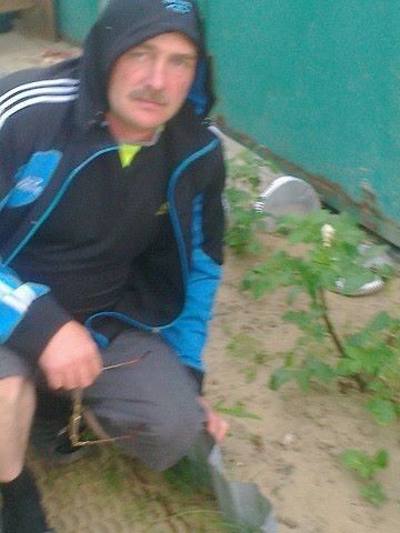  ,   , 56 ,   ,   , c 