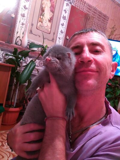  ,   , 50 ,   ,   , c 