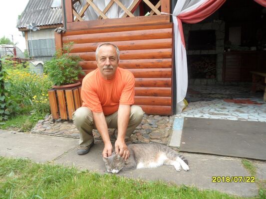  ,   , 74 ,   ,   
