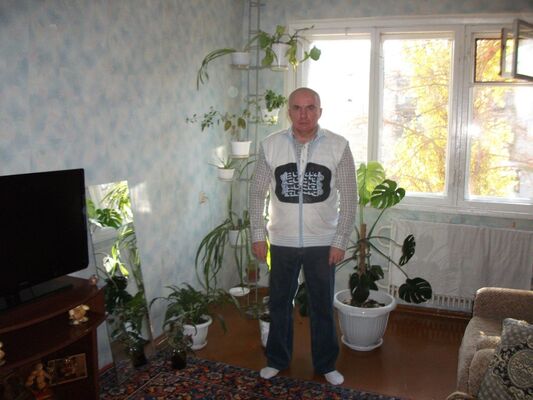  ,   , 59 ,   , 