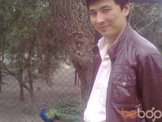  ,   Nurjik, 42 ,     , c 