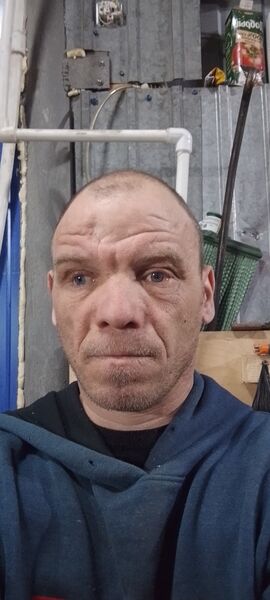  -,   , 46 ,   ,   
