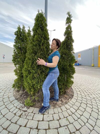  ,   , 42 ,   ,   