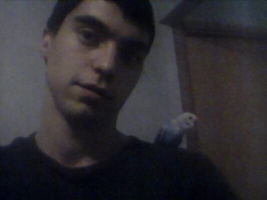  ,   , 28 ,   ,   , c 