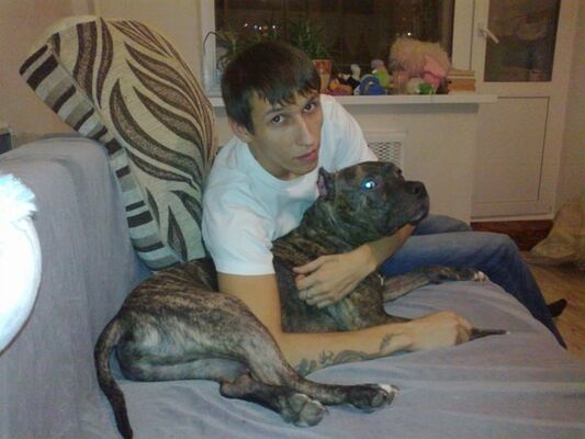  ,   , 38 ,   ,   , c 