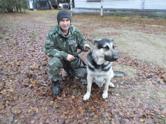  ,   , 61 ,   ,   , c 