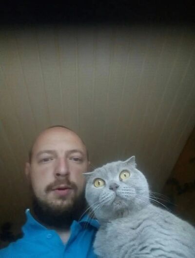  -,   , 38 ,   ,   