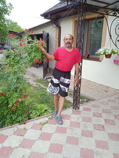   ,   , 68 ,   c , 