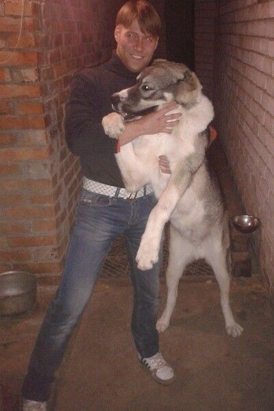  ,   Mishka, 37 ,   ,   , c 