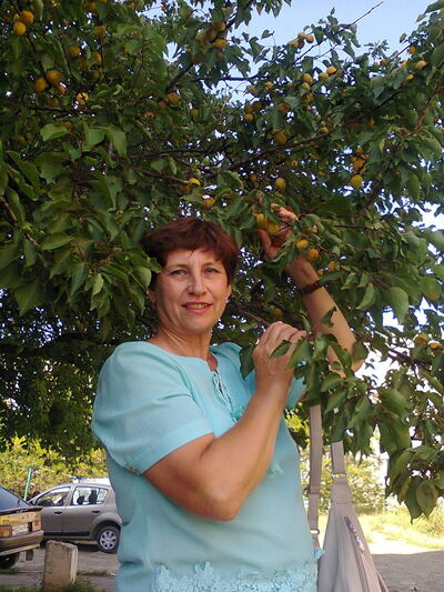  ,   , 65 ,  