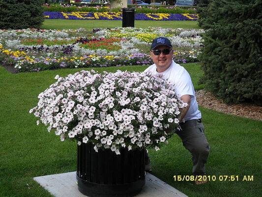  ,   Ilie, 53 ,   ,   , c 