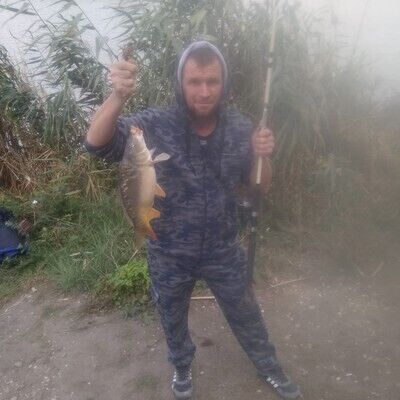  21734529  , 41 ,    