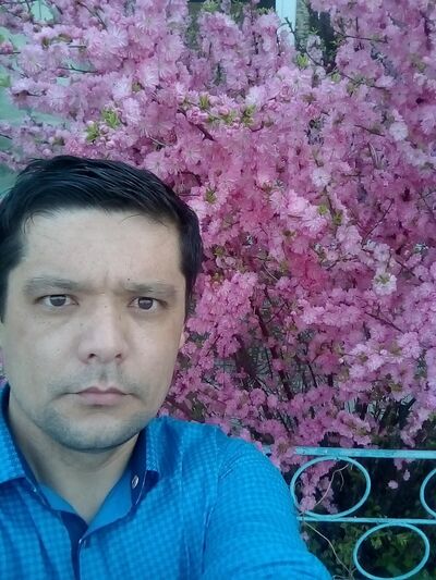  ,   , 41 ,   ,   