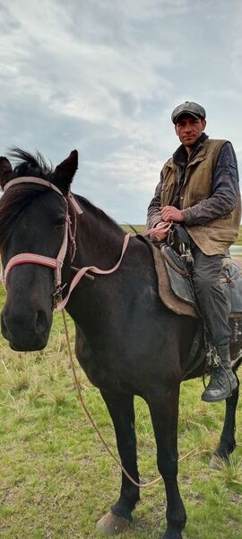  ,   Kolya, 36 ,   c 