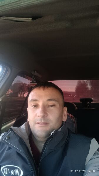  ,   Alimardon, 41 ,   ,   