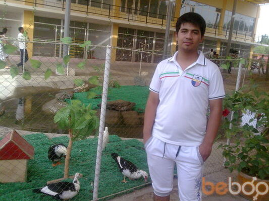  ,   Alisher, 35 ,   ,   , c 