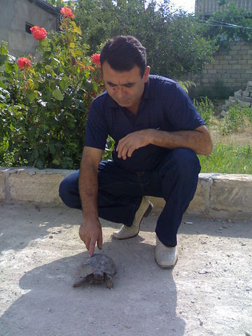  ,   , 60 ,   ,   , c 
