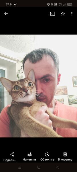  ,   Artyom, 36 ,   ,   , c 