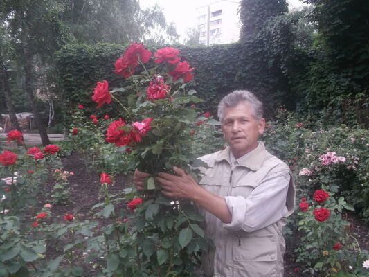  ,   , 65 ,   