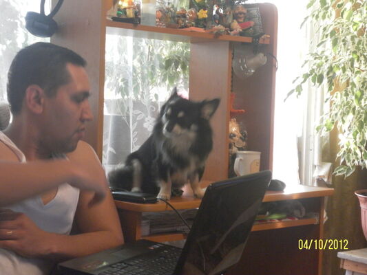  ,   , 43 ,   ,   , c 