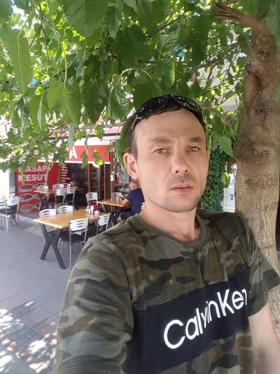  ,   , 43 ,  