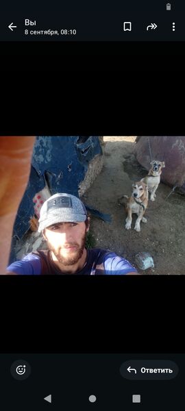  ,   Gazimagomed, 22 ,   ,   