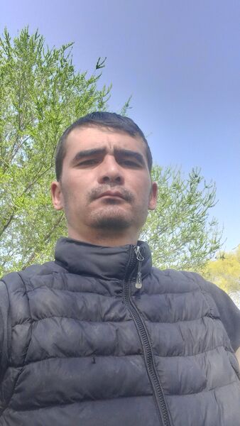  ,   Tect, 40 ,   ,   
