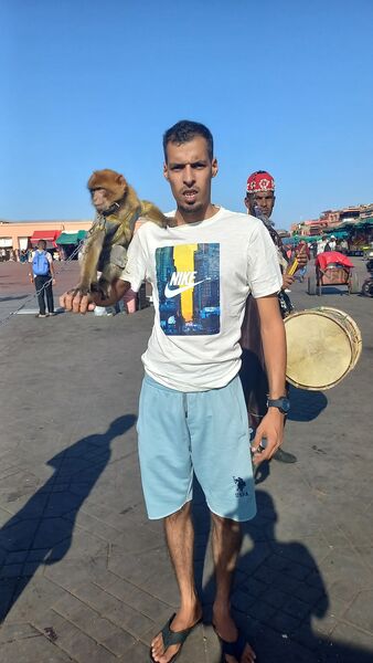  Pointe-a-Pitre,   Charifo, 31 ,   ,   , c , 