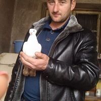  ,   Norayr, 41 ,   ,   , c 