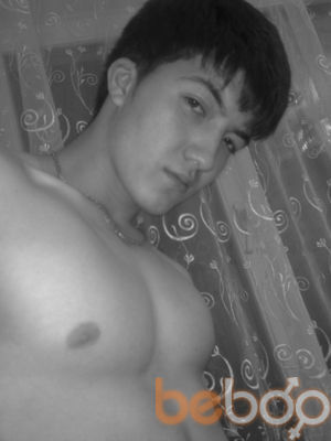  ,   Bobo, 33 ,  