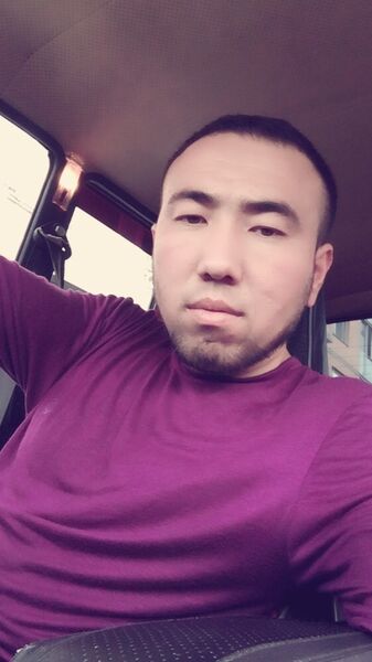  Den Horn,   , 30 ,     , c 