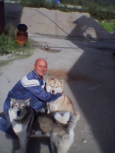  -,   , 48 ,   ,   , c 