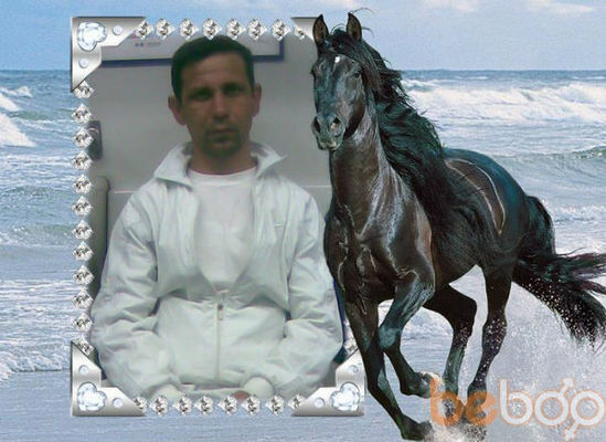 -,   , 50 ,  