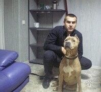  --,   , 43 ,   