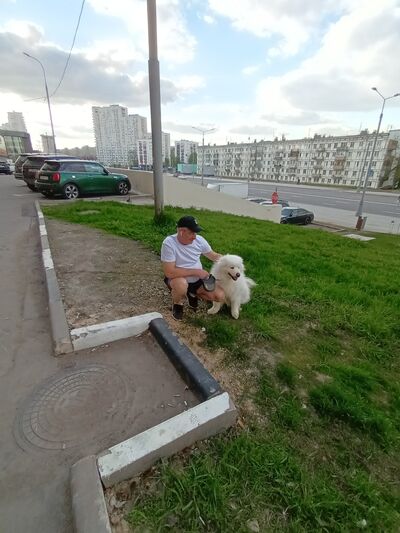  ,   , 53 ,  