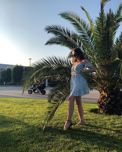  Selfoss,   , 28 ,     , c 