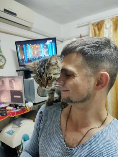  ,   , 31 ,     , c , 