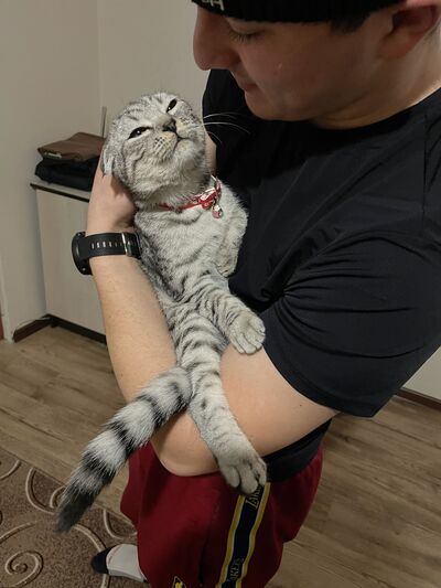  -,   , 25 ,   ,   