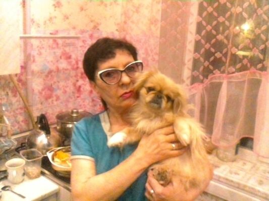 ,   , 56 ,  
