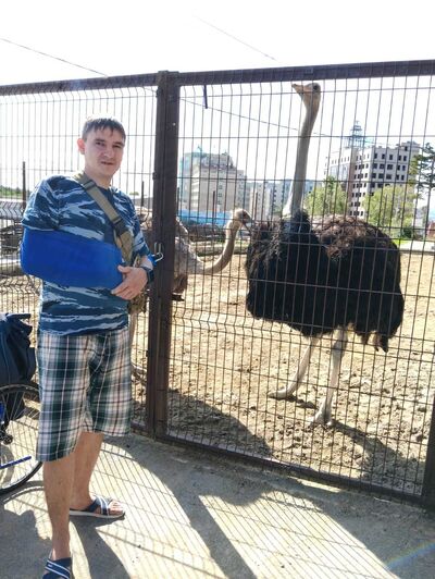  -,   , 37 ,   ,   , c 