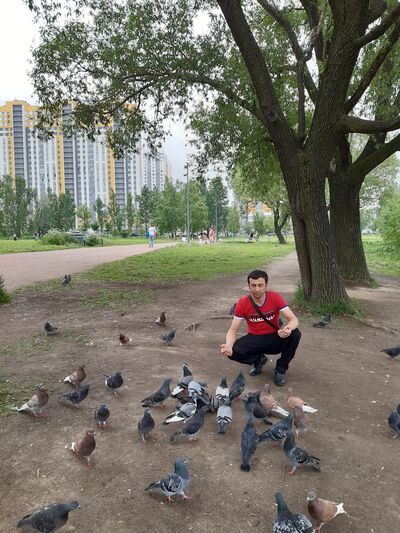  -,   , 40 ,   ,   